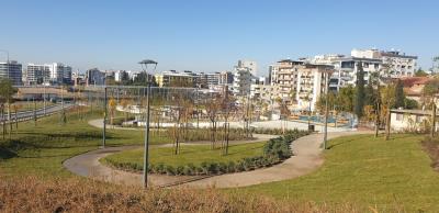 Haber Detay