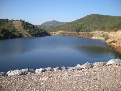 Haber Detay