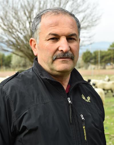 Haber Detay