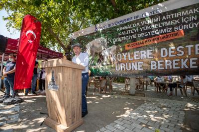 Haber Detay