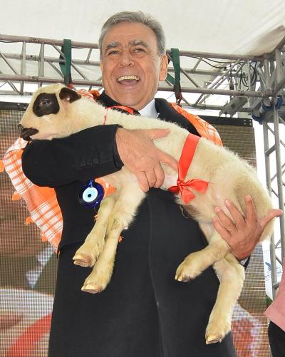 Haber Detay