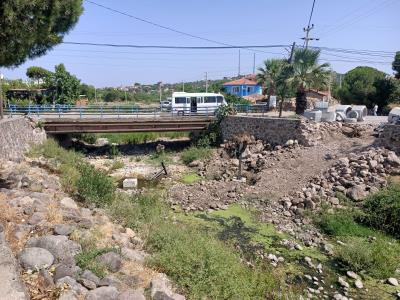 Haber Detay