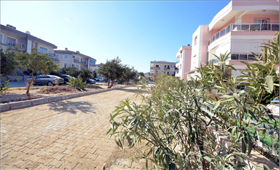 Haber Detay