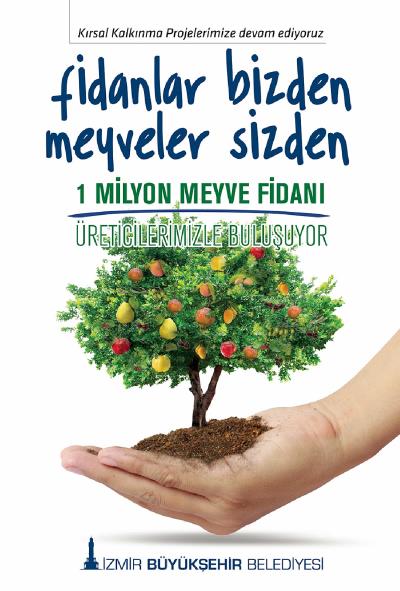 Haber Detay