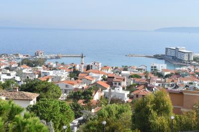 Haber Detay