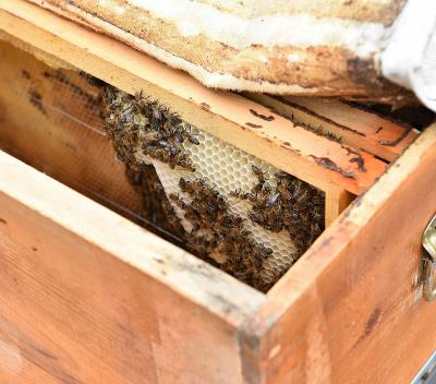 Haber Detay