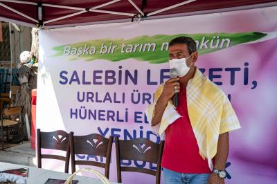 Haber Detay