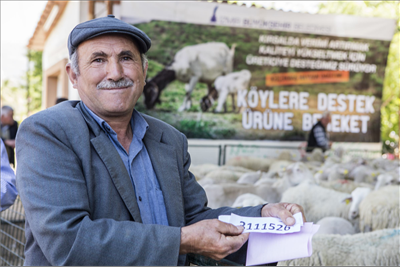 Haber Detay