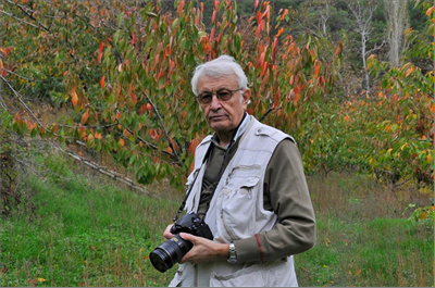 Haber Detay