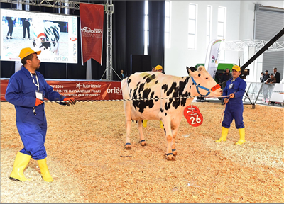 Haber Detay