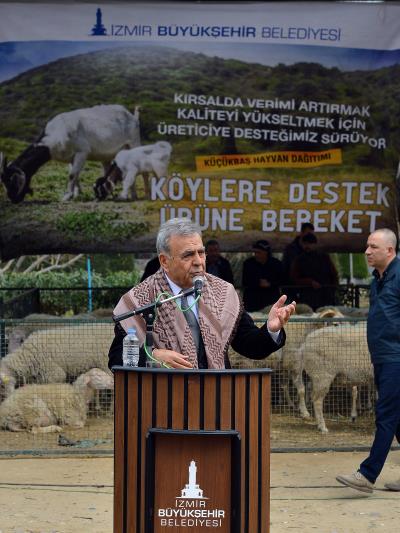 Haber Detay