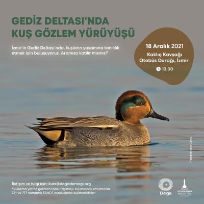 Haber Detay
