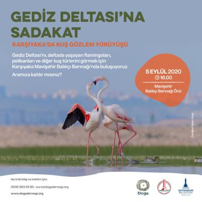 Haber Detay