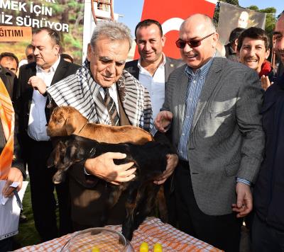 Haber Detay