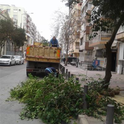 Haber Detay