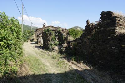 Haber Detay