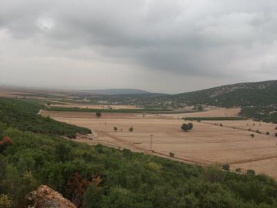 Haber Detay
